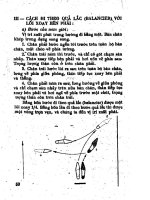 Tự học khiêu vũ part 8 docx