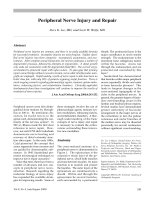 Chấn thương thần kinh ngoại vi doc