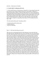 CHƯƠNG 1. TỔNG QUAN VỀ MPLS ppsx