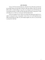 công cụ chính sách thương mại quốc tế. liên hệ thực tiễn việt nam