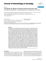 báo cáo khoa học: 