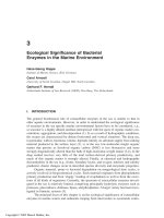 Enzymes in the Environment: Activity, Ecology and Applications - Chapter 3 pdf