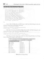 SQL server 2005 – Lập trình T-SQL part 5 pptx