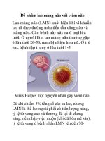 Dễ nhầm lao màng não với viêm não pptx