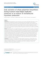 báo cáo khoa học: 