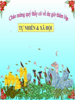 TNXH GIU GIN LOP HOC SACH DEP doc