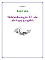 Luận văn: Tình hình công tác kế toán tại công ty gang thép doc