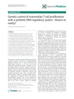 báo cáo khoa học: 