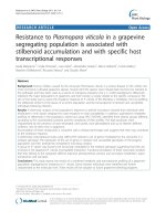 báo cáo khoa học: 