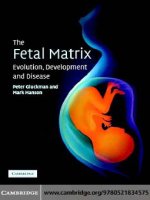 The Fetal Matrix: Evolution, Development and Disease - part 1 ppt