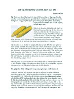 GIÁ TRỊ DINH DƯỠNG VÀ CHỮA BỆNH CỦA BẮP potx