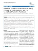 báo cáo khoa học: 