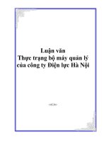 Thực trạng bộ máy quản lý của công ty Điện lực Hà Nội pot
