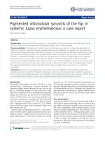 báo cáo khoa học: 