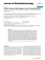 báo cáo khoa học: 