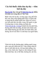 Các bài thuốc chữa đau dạ dày – viêm loét dạ dày docx