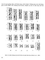 Di truyền và công nghệ tế bào Soma part 4 potx
