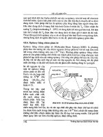 Giáo trình Vật liệu bán dẫn part 5 doc