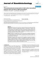 báo cáo khoa học: 