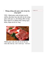 Phòng chống mắc giun xoắn từ lợn lây sang người ppt