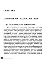Humic Matter in Soil and the Environment: Principles and Controversies - Chapter 4 pot