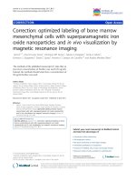 báo cáo khoa học: 