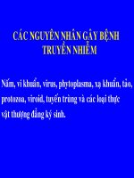 Các nguyên nhân gây bệnh truyền nhiễm potx