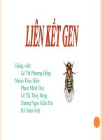 Giáo án điện tử môn sinh vật: Liên kết gene pot