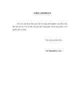 giải pháp huy động nguồn vốn tín dụng để phát triển cơ sở hạ tầng đô thị tại việt nam trong giai đoạn mới