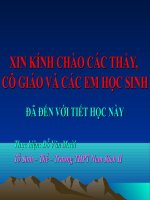 Giáo án điện tử môn sinh học: Sinh học lớp 12- Quá trình hình thành quẩn thể thích nghi pot