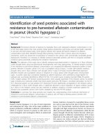 báo cáo khoa học: 