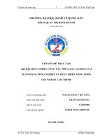 hoàn thiện công tác thù lao lao động tại ngân hàng nông nghiệp và phát triển nông thôn chi nhánh tam trinh