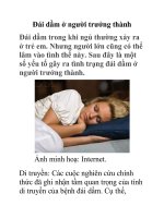 Đái dầm ở người trưởng thành ppsx