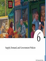 Cung cầu và chính sách của chính phủ pptx