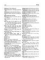 Từ điển kỹ thuật mỏ Anh – Việt part 5 pps