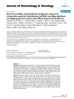 báo cáo khoa học: 