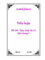 Tiểu luận: Quy luật sắt về tiền lương ppsx