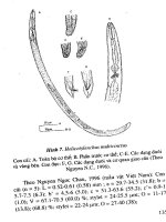 Tuyến trùng ký sinh cây ăn quả và biện pháp phòng trừ part 8 ppt