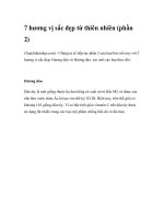 7 hương vị sắc đẹp từ thiên nhiên (phần 2) docx
