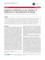 báo cáo khoa học: 