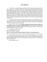 Xây dựng chương trình truyền thông cổ động cho sản phẩm kẹo chew của công ty bánh kẹo hải hà