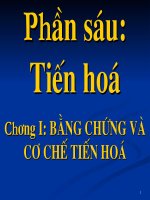 Giáo án điện tử môn sinh học: Sinh học lớp 12- Các bằng chứng tiến hóa - Tiền sinh hóa pot