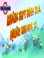 Giáo án điện tử môn sinh học: sinh học lớp 12- Môi trường sống và các nhân tố sinh thái ppt