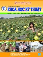 Bản tin phổ biến kiến thức khoa học và kỹ thuật số 20
