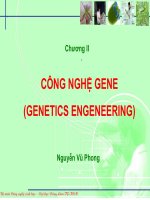 Giáo án điện tử môn Sinh vật học : CÔNG NGHỆ GENE (GENETICS ENGENEERING) pps