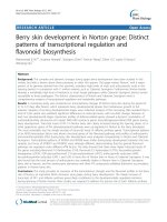 báo cáo khoa học: 