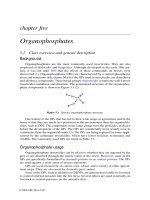 Pesticide profiles : Toxicity, environmental impact and fate - Chapter 5 docx