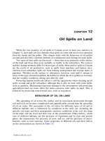 The Basics of Oil Spill Cleanup - Chapter 12 potx