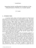 COASTAL AQUIFER MANAGEMENT: monitoring, modeling, and case studies - Chapter 8 doc