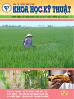 Bản tin phổ biến kiến thức khoa học và kỹ thuật số 19